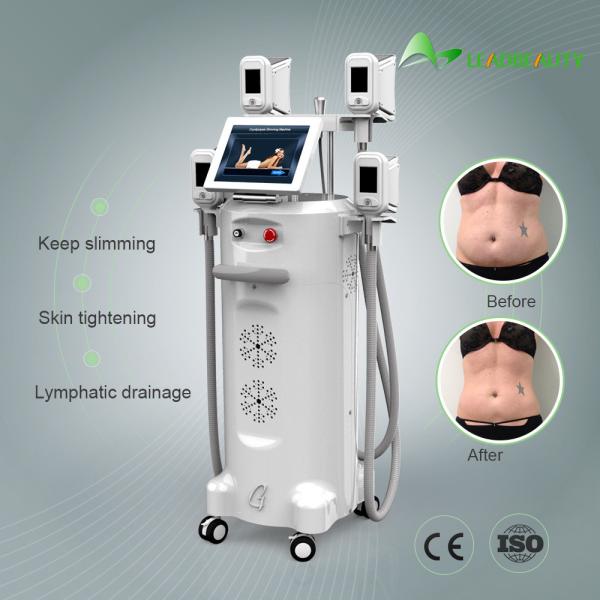 2018 Newest Cryolipo Beauty Salon Equipment / Fat Freezing Beauty Salon