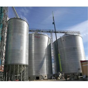 Take Your Business To The Next Level With Grain Storage Silo Comprehensive