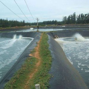 Geomembrane for Artificial Lake Tank Liner Length 50-200m Waterproof and Durable
