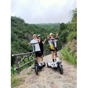 250W Foot Running 3 Wheel Foldable Electric Scooter