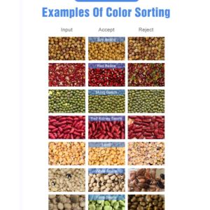 Stainless Steel Beans Color Sorter Machine