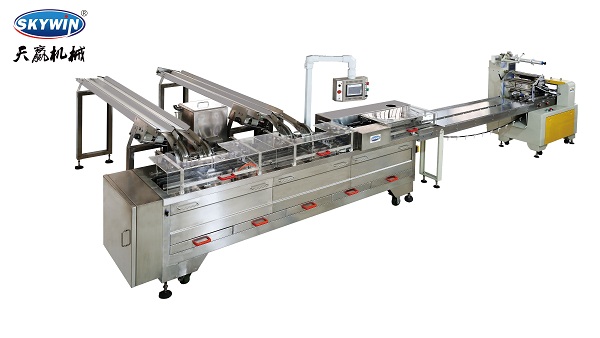 Small Model 400 MM Biscuit Making Machine Small Capacity Biscuit Production Line