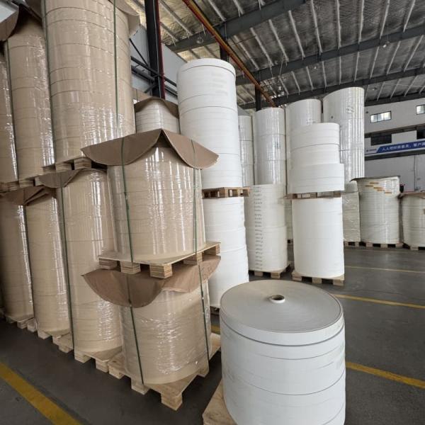 FSC Eco- Friendly 100% Biodegradable Single PLA Coated Paper Cup Fan To Drink Tea Coffee Beverage