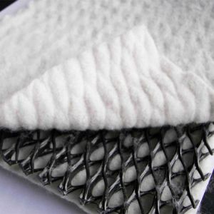 Black White 3D Geocomposite Drainage Net for CE/ISO9001/ISO14001 Certified