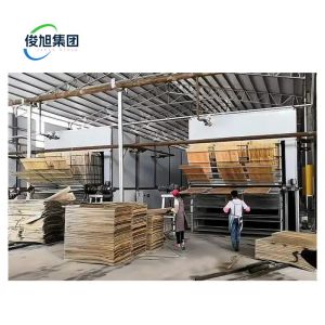 Heavy Industry Fully Automatic Veneer Wood Wall Panel Sheet Desiccation
