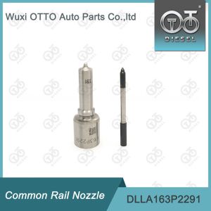 DLLA163P2291 Common Rail Nozzle For Injector 0445110476/477 0986435241