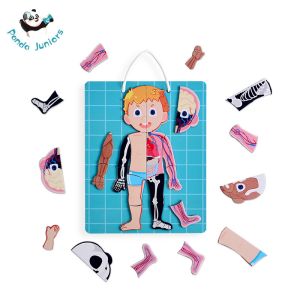 Magnetic Human Body Jigsaw Puzzle Preschool Creative Cognitive Skills Training