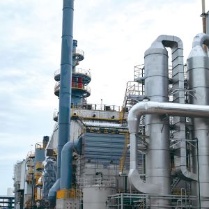 Single Ash Hopper Waste Gas Treatment System OEM Dust Collection Equipment