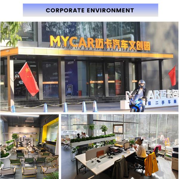 2023 Chevrolet Seeker RS Bee Sharp Model The Perfect Combination of Style and Functionality in Need of a Compact SUV