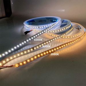 Customizable 6500K White Electroplate LED Strip Light for Various Lighting