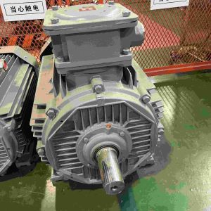 3 Phase Voltage Carbon Steel Variable Speed Electric Motor With CE
