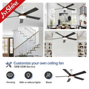 Lower Noise DC Motor Ceiling Fan Light with 6 Speed Remote Control White Housing