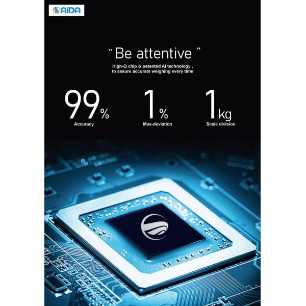 Professional Brand Balance Electronic Digital Weighing 5000kg Industrial Platform Scale