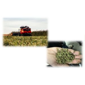 THC Extraction CBD Extraction Machine , Small Scale CBD Extraction Equipment