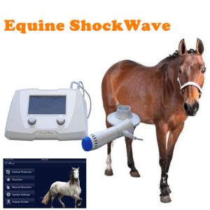 ESWT Equine Shockwave Machine 1HZ - 22HZ Shockwave Machine For Vet Clinic