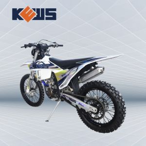 Powerful 250cc 4 Stroke Enduro Motocycle with OEM 4 Valve Water Cooled EFI and