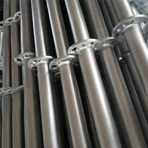 Hot-Dip Galvanized Q235 3m 6 Ring Vertical W/Spigot Ringlock Scaffolding for