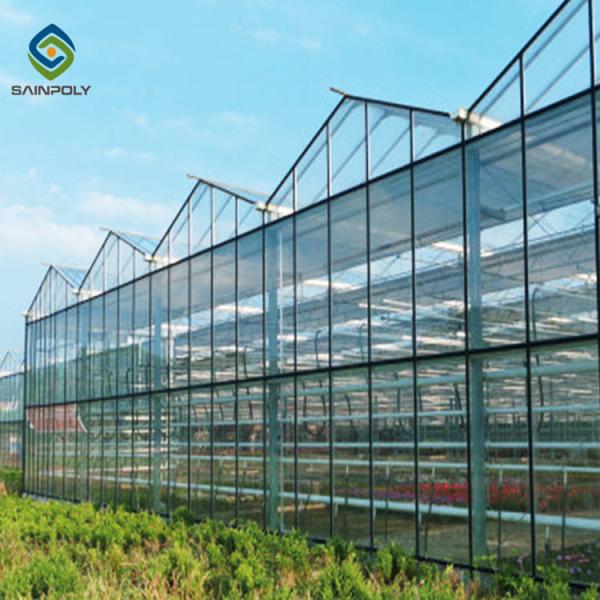Buy Wind Galvanized Steel 12m Multi Span Glass Greenhouse at wholesale prices