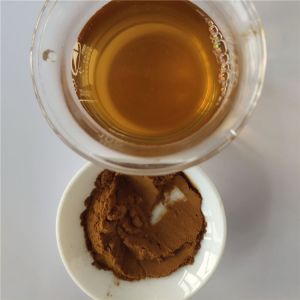 Quality Herbal Medicine Peppermint Tea Powder From China for sale