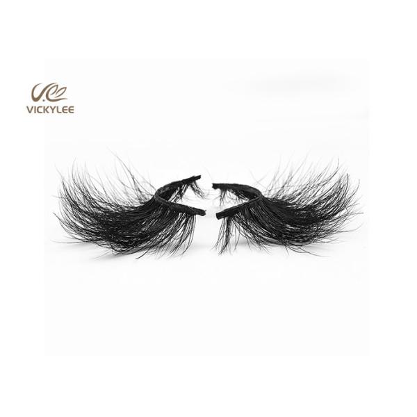 Fan Shaped Whole Strip Cotton Stalk 5D Volume Lashes