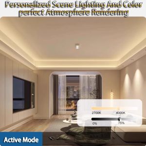 Full Spectrum LED Light Strip 98 High Brightness Low Voltage 24V Self-Adhesive