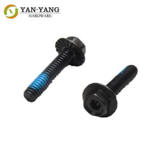 China Black flange head screws with socket head screws furniture part on sale
