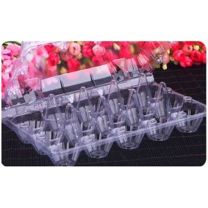 Hot Selling Plastic PET Sandwich Containers Cake Bread Container Plastic