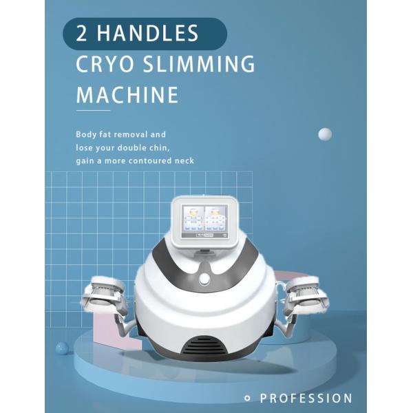 2 Cryo Handles Portable High Quality Cryo Machine for salon use body slimming