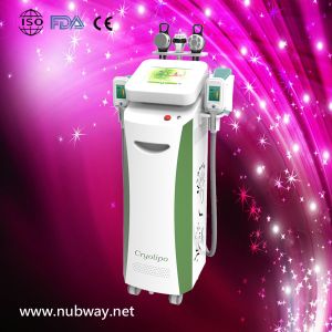 Quality Cavitation Rf Ice Frozen Vacuum Latest Cryolipolysis Slimming Machine for sale