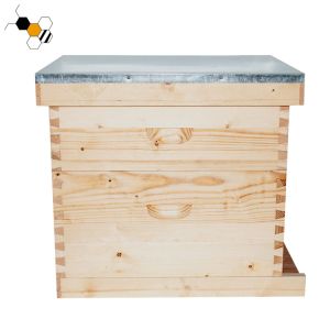 Wax Coated Two Layers Wooden Langstroth Hive 10 Frame