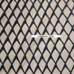 2D Geonet For Slope Protection Drainage Layer Retaining Wall