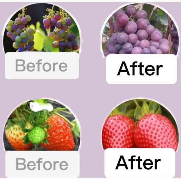 Biological Enzymolysis Organic Water Soluble Fertilizer Organic Seaweed Extract Fertilizer