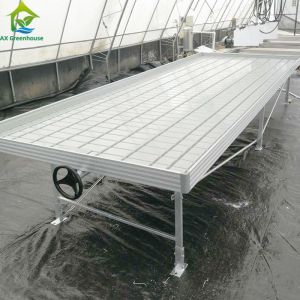 Greenhouse Hydroponic Soilless Culture Ebb Flood Grow Table Seedbed Rolling