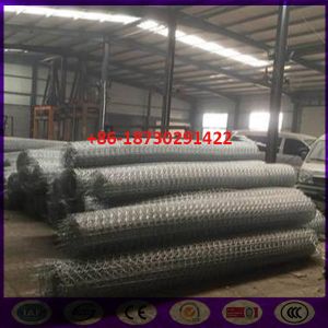 Quality 8x10 cm Ω Type Ecologica Gabion Road Reinforced Wire Mesh in roll for sale
