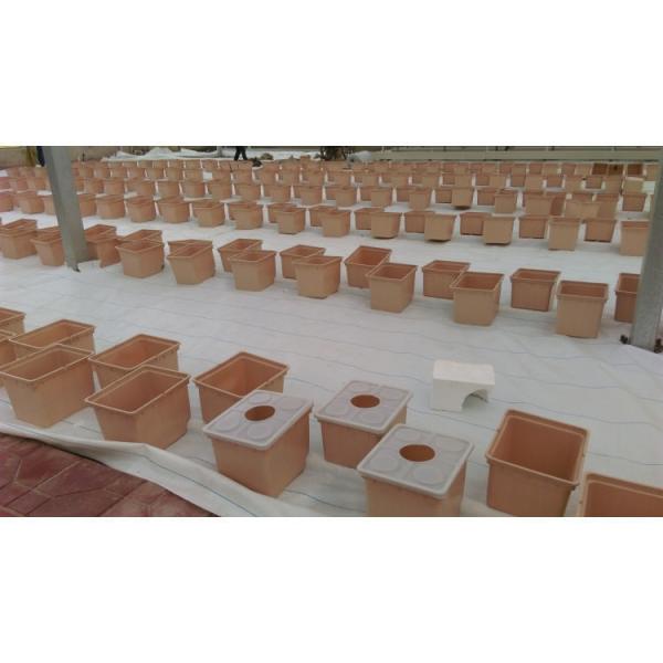 Buy Plastic Hydroponics Dutch Buckets Bato Bucket Grow Systems Agricultural at wholesale prices