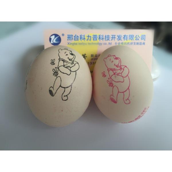 High Tech Carton Coding Machine Eggs Number Inkjet Printer With Solvent For Egg Supplier