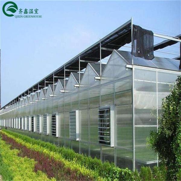 Good Light Permeability Essential for Venlo Glass Greenhouse in Agricultural Industry