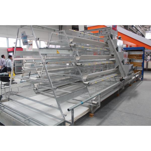 Buy Eggs Layer Chicken Cage Cold And Hot Galvanized Feeding System at wholesale prices
