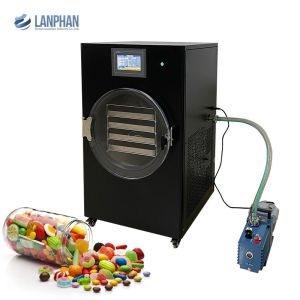Fruits Vegetables Vacuum Freeze Dryer Home Digital Control Lyophilizer