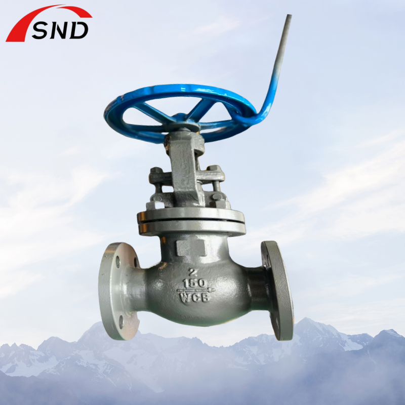 Flanged Cast Steel Globe Valves Used In Petroleum Chemical Power Industries