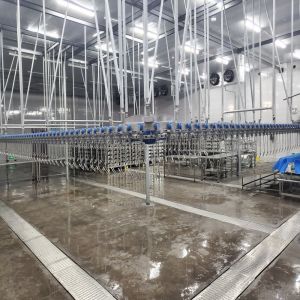 High Performance Poultry Slaughtering Equipment Chicken Poultry Scalding Machine