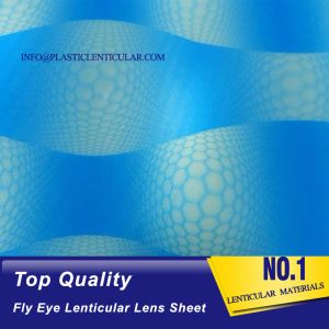 PLASTIC LENTICULAR 360 3d Lenticular sheet fly eye lens buy online-80 lpi