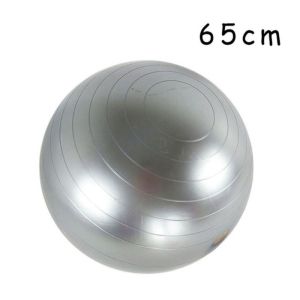 High Flexibility Pilates 65cm Stability Ball Heavy Duty For Gym