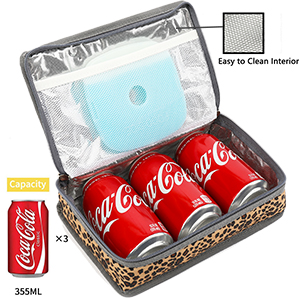 Small Insulated Cooler Bags Portable Mini Thermal Cooler Lunch Bag