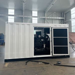 200 KW Silent Power Generator Set 250 Kva Auto Start Three Phase 50/60Hz