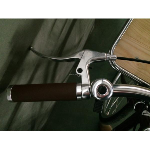 Caliper Brake 700C OEM Color Logo CE Front Rack Classical Sturmey Archer Inner 3S Vintage Men City Bike