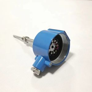 Customized ODM Support 1200 Degree Stainless Steel Temperature Instrument