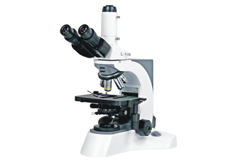Binocular Lab Biological Microscope WF10X/23mm Trinocular Kohler Illumination
