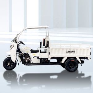 10-20L Fuel Tank Capacity Cargo Tricycle in Ghana with Motorized Driving Type