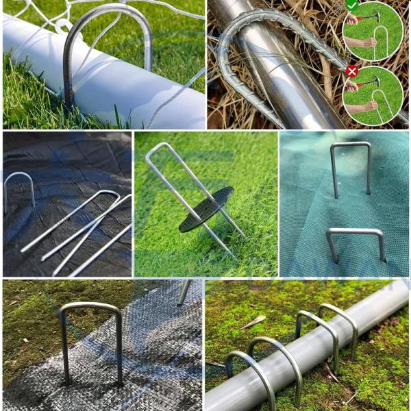 Insect Net Fixing Peg Turf Securing SOD Staples Galvanized Steel Garden Nail